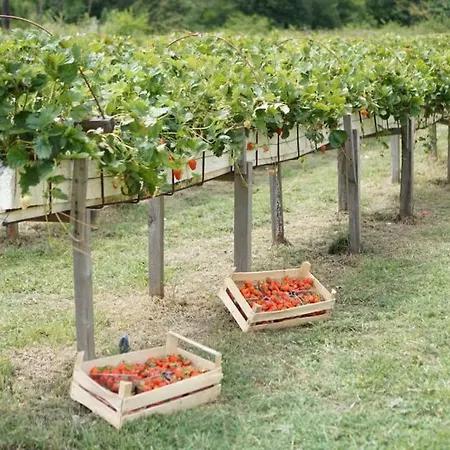 Dola With Private Pool