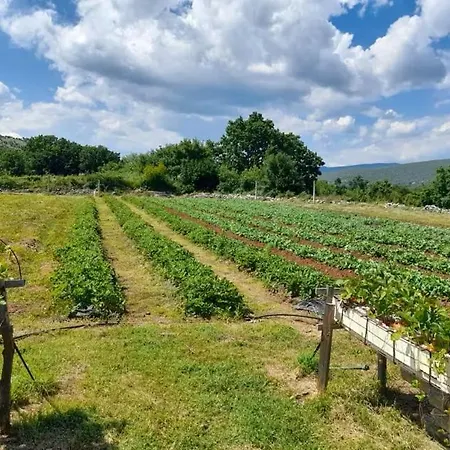 Dola With Private Pool